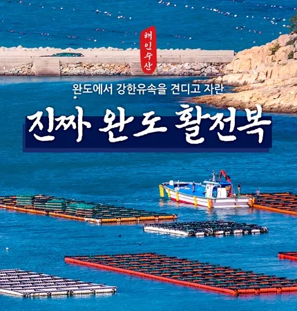 이하은 디자이너 수산물 상세페이지 포트폴리오 - 해인수산 완도 전복
